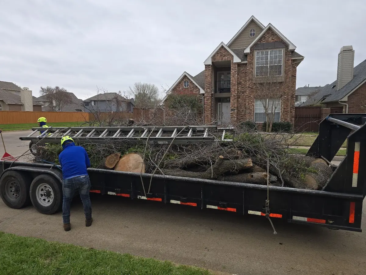 Expert Tree Fertilization with proper safety equipment in Garrett
